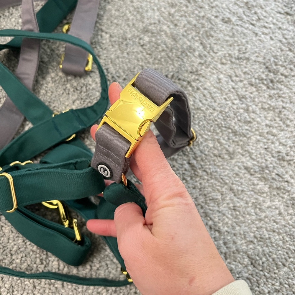 Eat Play Wag No-Pull Harness & 1” Convertible Leash Set - Spruce Medium - Picture 8 of 9